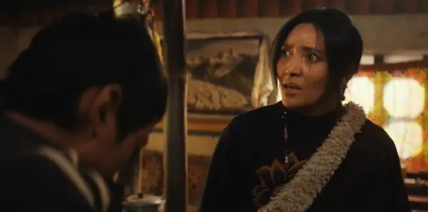 生命树第11集剧照