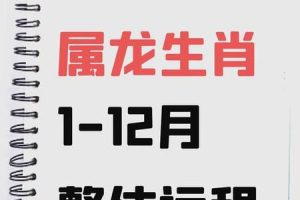生肖龙2025年05月27日考试能顺利吗