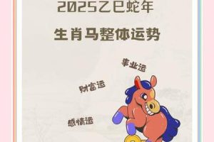 生肖马2025年05月27日贵人运怎么样