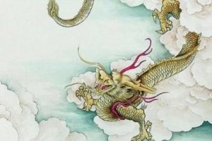 生肖龙2025年05月28日开工怎么样