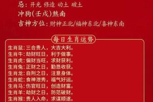 生肖龙2025年05月29日投资能行吗