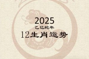 生肖鼠2025年05月27日买房是不是好日子