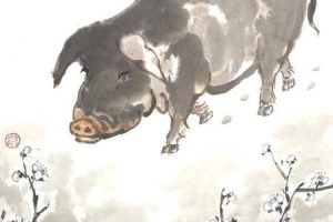 生肖猪2025年05月28日求职运气如何