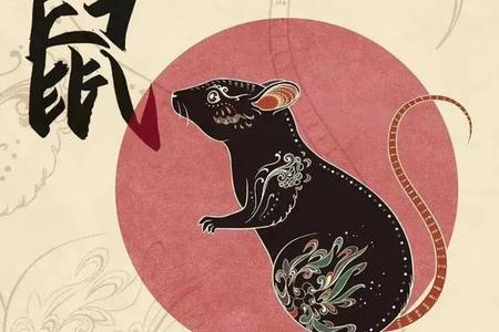 生肖鼠2025年06月03日事业运如何