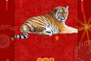 生肖虎2025年06月09日可以搬家吗