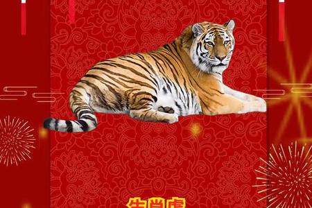 生肖虎2025年06月09日可以搬家吗
