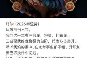 生肖鸡2025年06月03日投资能行吗