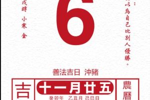 生肖鸡2025年06月05日求职运气如何